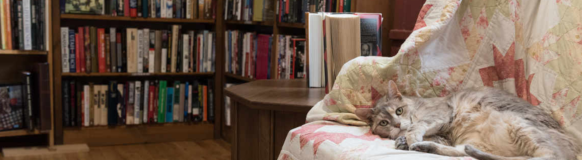 Book shelfs with a cat in an arm chair